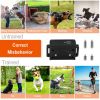 3280FT Dog Training Collar IP67 Waterproof Pet Beep Vibration Electric Shock Collar