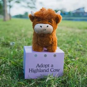 Brown Highland Cow Creative Plush Puppet And Doll (Option: Highland Cow Doll Color Box)