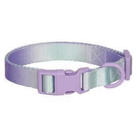 Large Anti-rust Gradient In Dog Collar (Option: Purple Green-S)