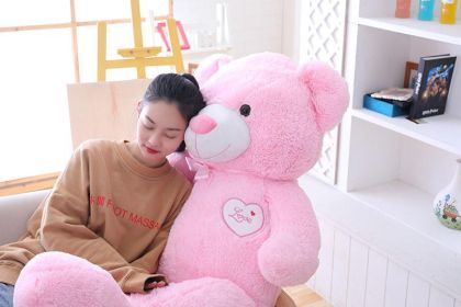 Big Bear Teddy Bear Doll Plush Toys (Option: Pink-110cm)