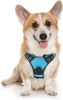 Dog Harness; No-Pull Pet Harness with 2 Leash Clips; Adjustable Soft Padded Dog Vest; Reflective No-Choke Pet Oxford Vest with Easy Control Handle for